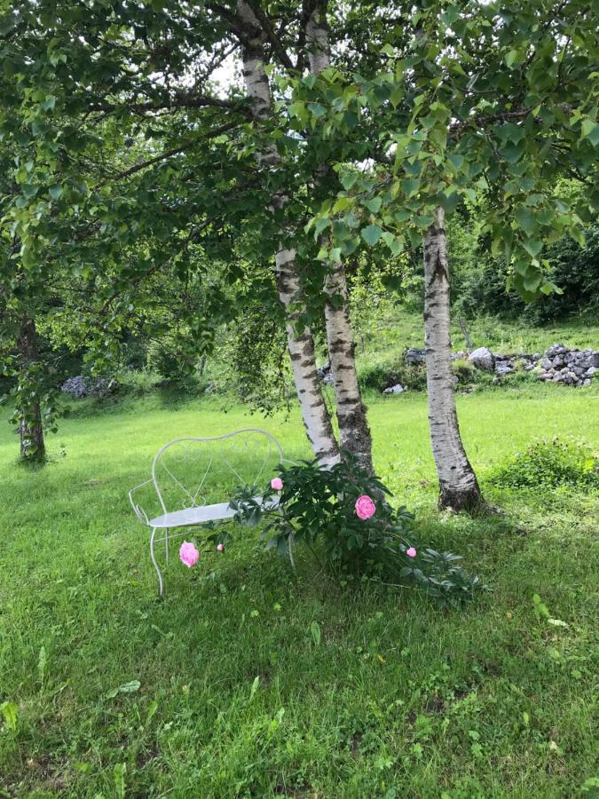 Village Vacances Le Grepillon Les Rousses Bagian luar foto