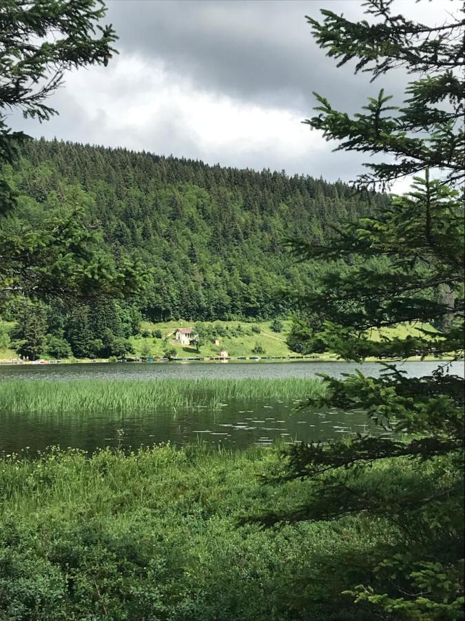 Village Vacances Le Grepillon Les Rousses Bagian luar foto